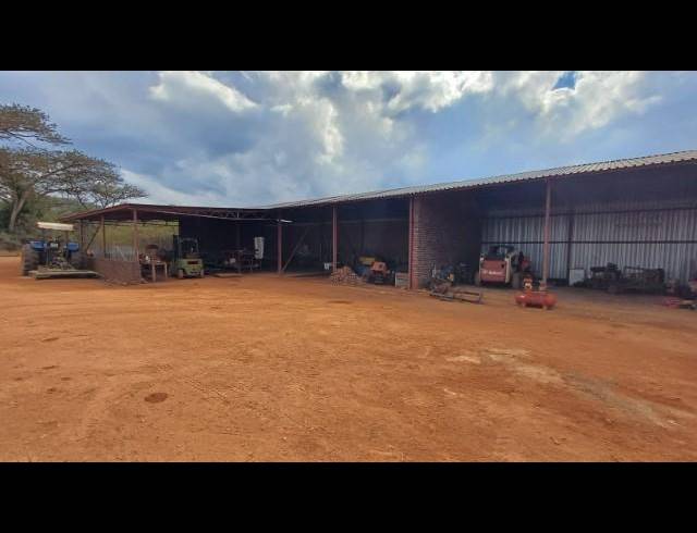 FARM FOR SALE IN LOUIS TRICHARDT